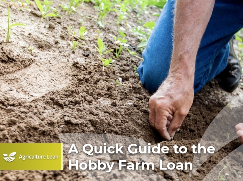 hobby farm loan requirements