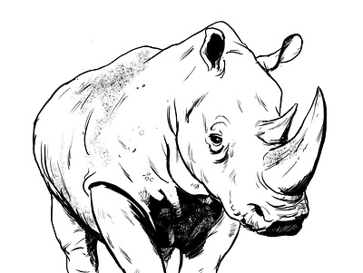 Rhino illustration