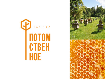 Logo of the apiary "Hereditary" (hereditary)