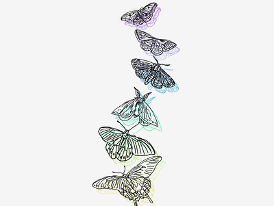 butterflies design graphic design illustration logo