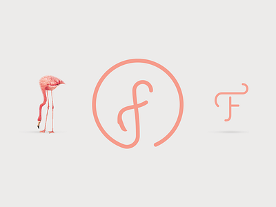 Flamingo Logo Concept animal ceiling deco flamingo flat fresco grand cafe graphic illustration interior graphics logo zoo