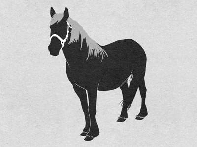 Horse horse texture vector