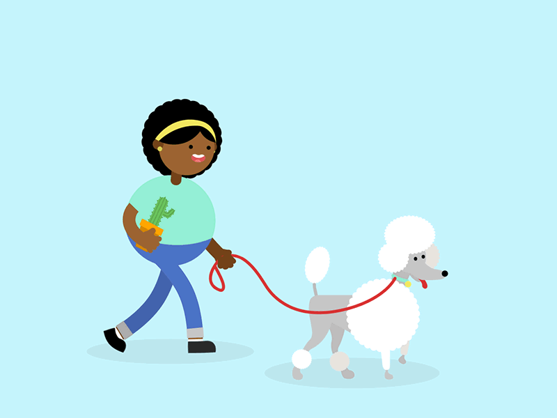 Curly friends animation cactus character character animation curly dog happy people pet poodle walk walk cycle