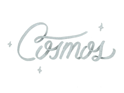 Cosmos cosmos hand lettering lettering silver space space logo space theme stars type typography