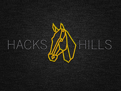 Hacks & Hills Branding agency branding design logo