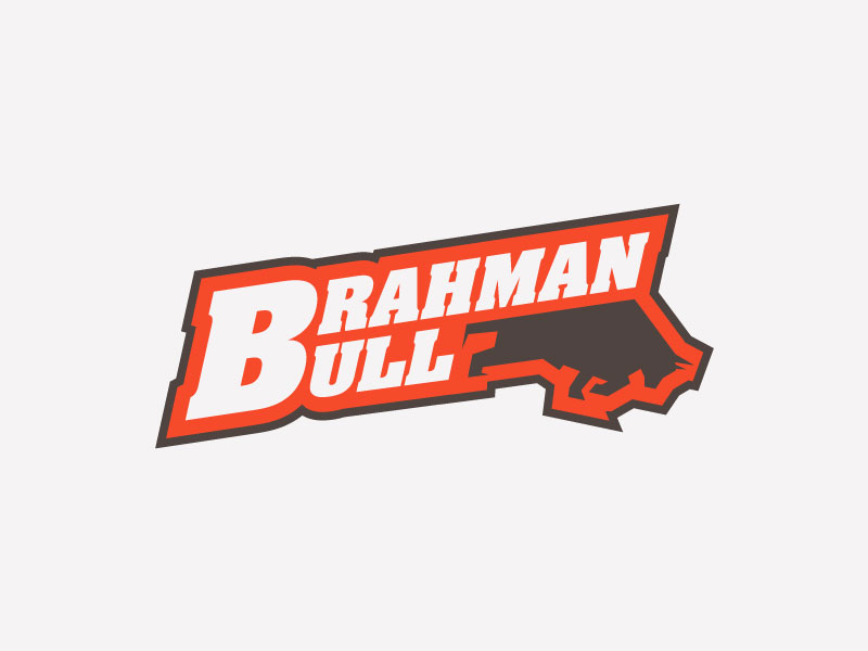 Brahman Projects | Photos, videos, logos, illustrations and branding on  Behance