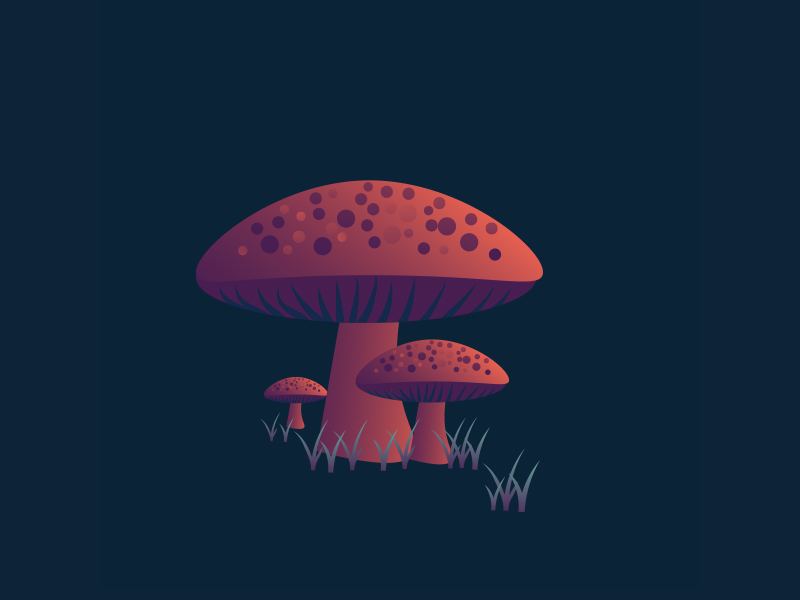 Wonderland Mushroom by Lexi Joy Cormier on Dribbble