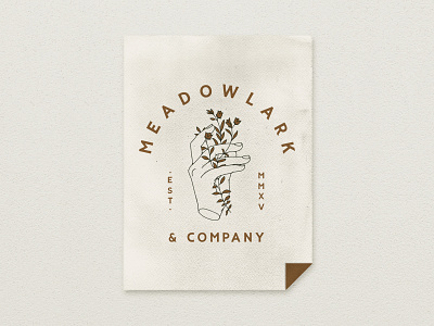 Meadowlark & Co. brand identity branding custom design hand drawn handmade illustration logo typography
