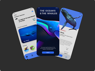 The Ocean's & the whales app design figma mobile app design mockeups ui ux