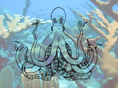 Octo please pick octopus sea sketch