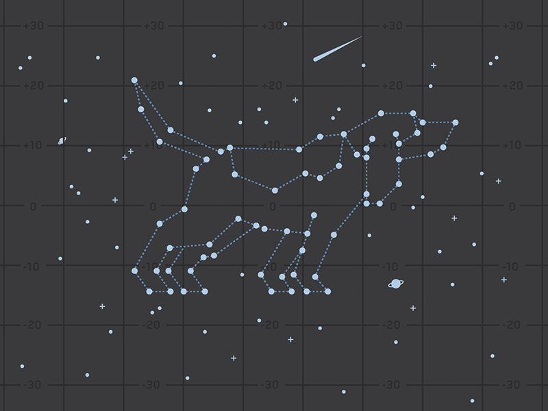 Looking up beagle star map stars