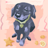 Otis Dgn