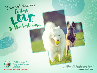 Facebook Post- Social Media design, Love pet, Vet. Hospital branding design graphic design illustration