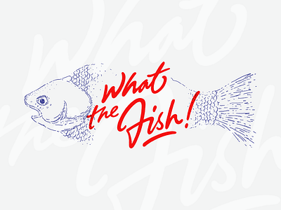WTF! fish illustration lettering type typography wtf