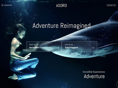 ASORO Website's Landing Page