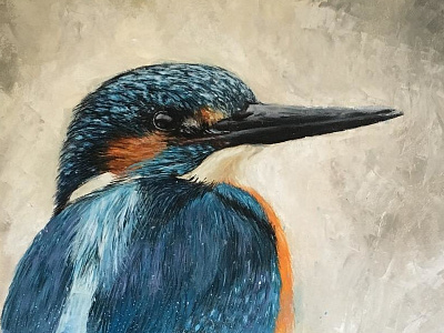 kingfisher bird detail fine art fly illustration kingfisher oil paint