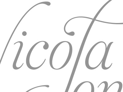 Nicola Jones grey logo portfolio typography