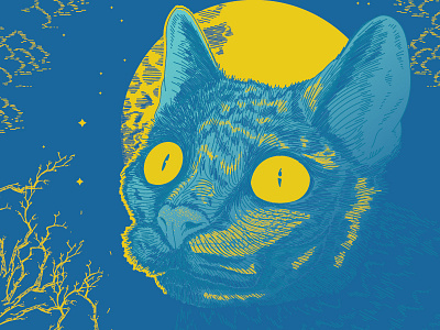 Yellow eyed demon cat detailed drawing illustration mistique night