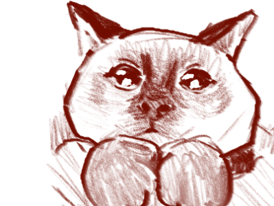 Like-a facebook post !! (Lyka the cat) art design digital art drawing illustration sketch