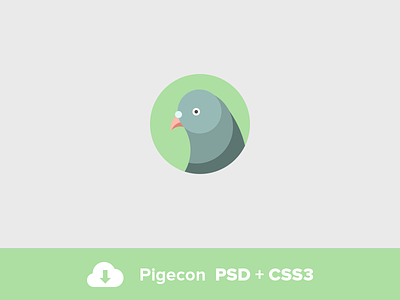 Pigecon CSS3 Animation animation css3 free psd icon psd psddd