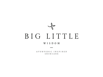Big Little Wisdom logo design. logo minimal simple skincare