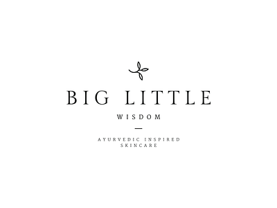 Big Little Wisdom logo design.