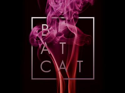Batcat logo design logo pink smoke square