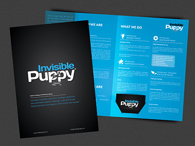 Invisible puppy brochure design folder