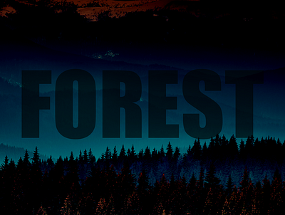 Blue Forest Merch Print branding company logo design graphic design illustration logo vector