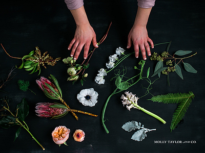 Spring Blooms