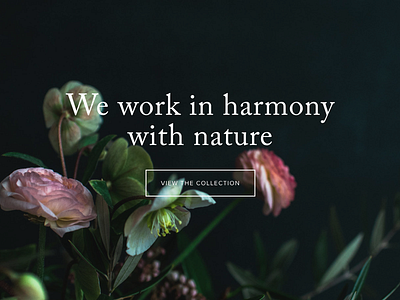 In harmony with nature florals mollytaylorandco photography typography web
