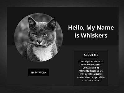 Cat Portfolio Design behance branding design designer figma figmadesigner pinterest portfolio professional professionaldesign ui uidesign ux uxdesign webdesign