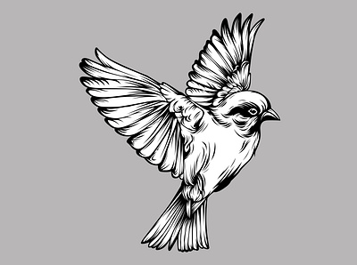 BIRD vector illustration animal artist artwork bird birds black and white design illustration nature vector