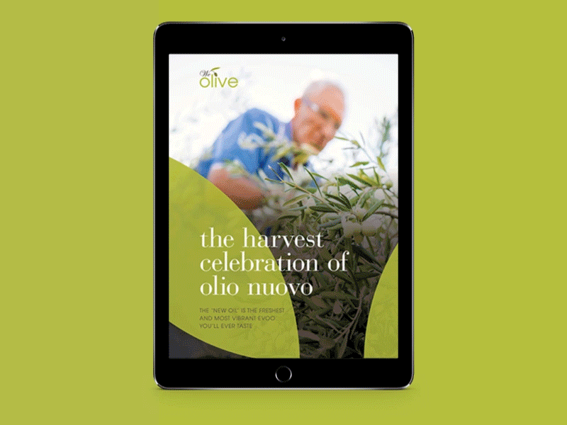 We Olive Olio Nuvo Ebook color cover design ebook grid interactive ipad layout mockup motion pages type
