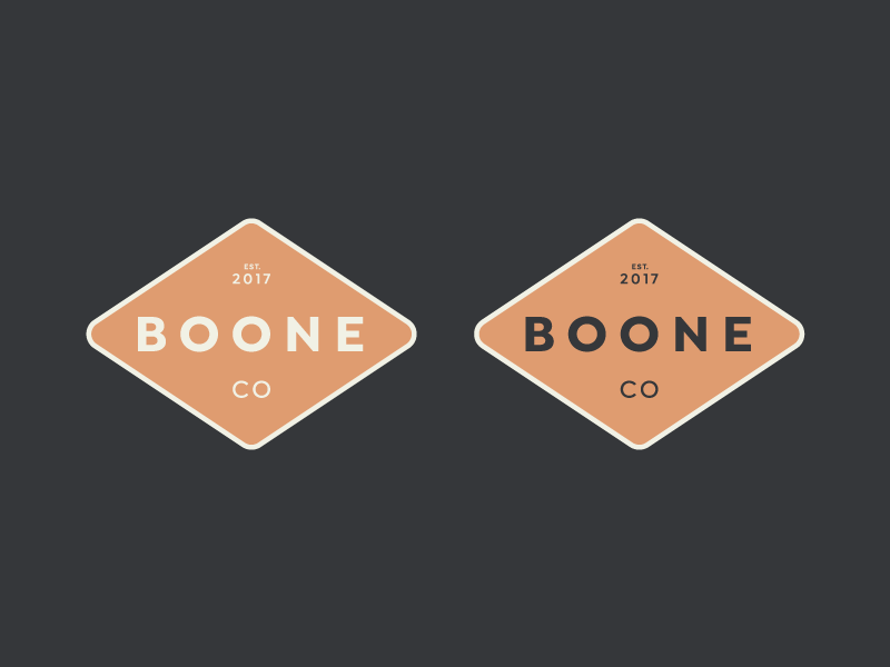 Logo Concept branding logo
