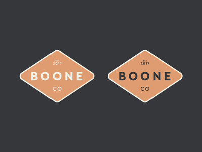 Logo Concept