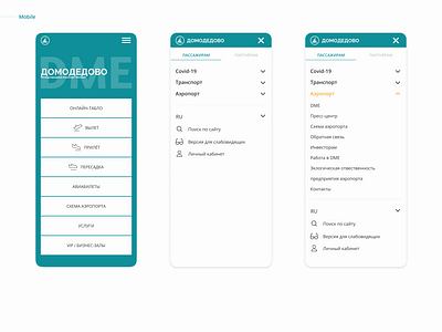 Domodedovo | UX | UI