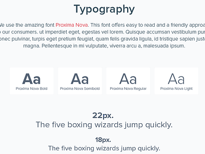 Brand Guide in full effect brandguide lucidworks typography