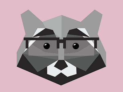 Raccoon Ross friendlydesign friendlydesigncamp glasses illustration raccoon
