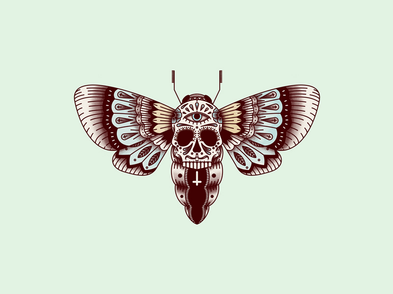 Hawk Moth.