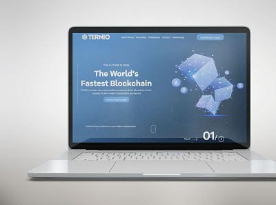 Ternio.io ux ui ux ui designer