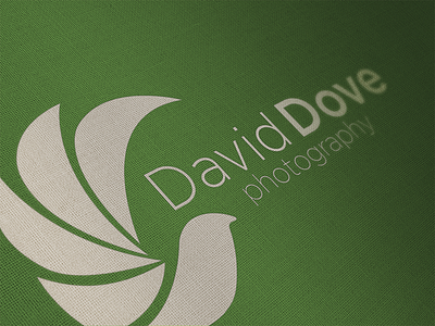 David Dove Photography 3d art brand camera logo