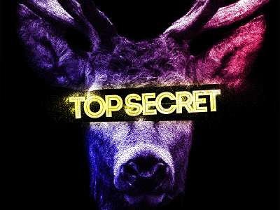 Top Secret deer neon secret top secret