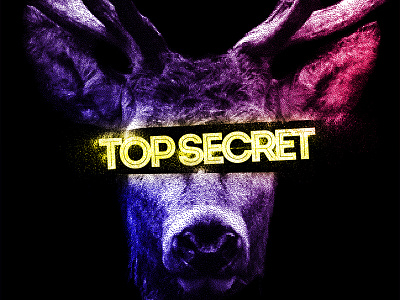 Top Secret