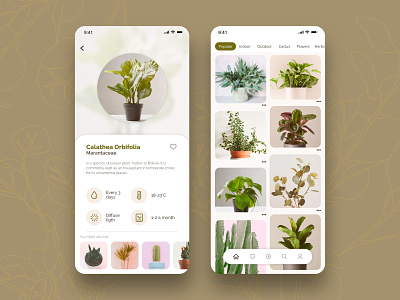 Plant- App Concept adobe xd app design app inspo design gallery gallery app info card nature app plant app plants ui ui concept ui inspo uiux