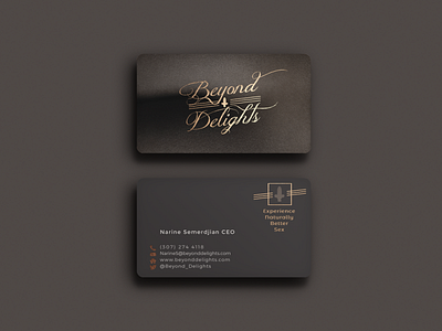 Branding branding business card logo