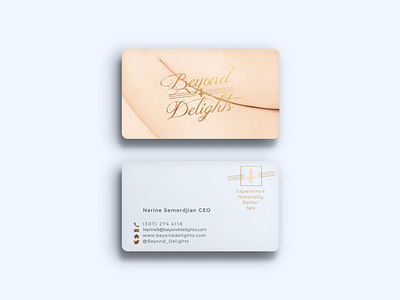 Branding branding business card logo