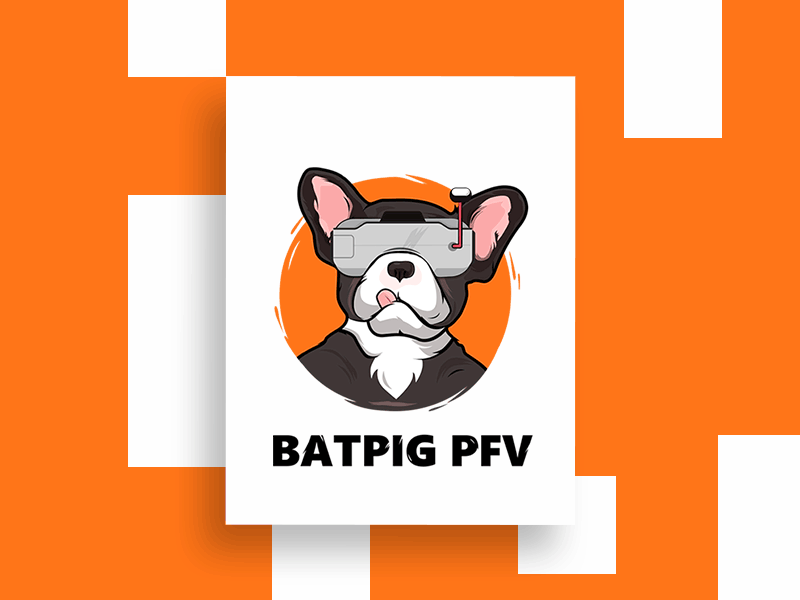 Logo BatPig bulldog design dog illustration logo virtual glasses