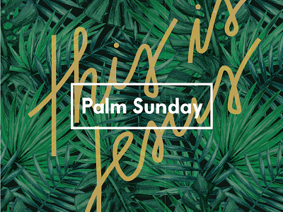 Palm Sunday branding church newspring palm sunday