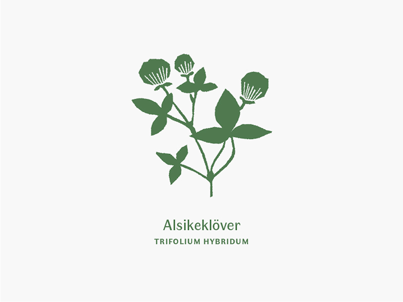 Vår floral flowers heritage illustration scandinavian spring sverige swedish